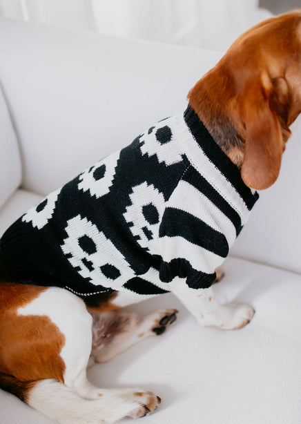 Skulls Dog Sweater