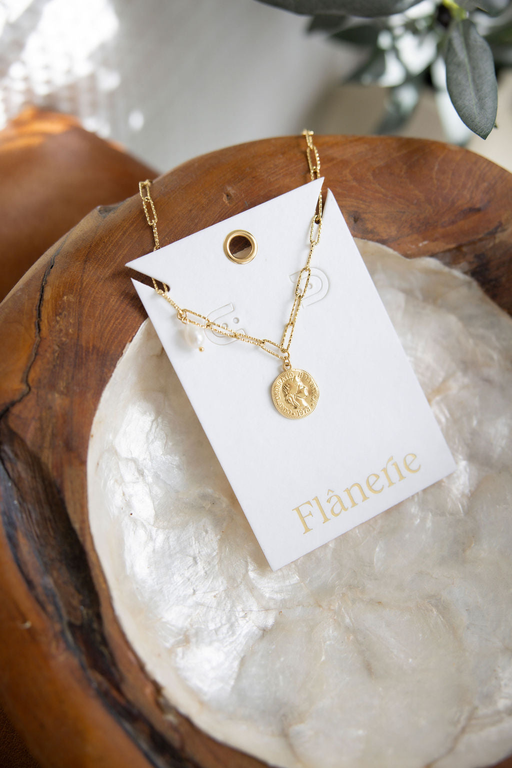 image of Isaline Coin Necklace