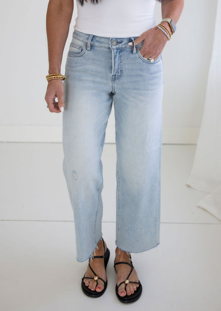Taelor Hidden Dad Jean product view
