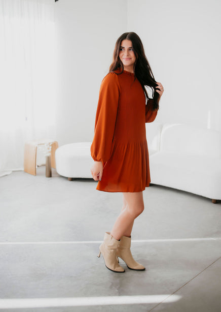 Willa Pleated Long Sleeve Dress