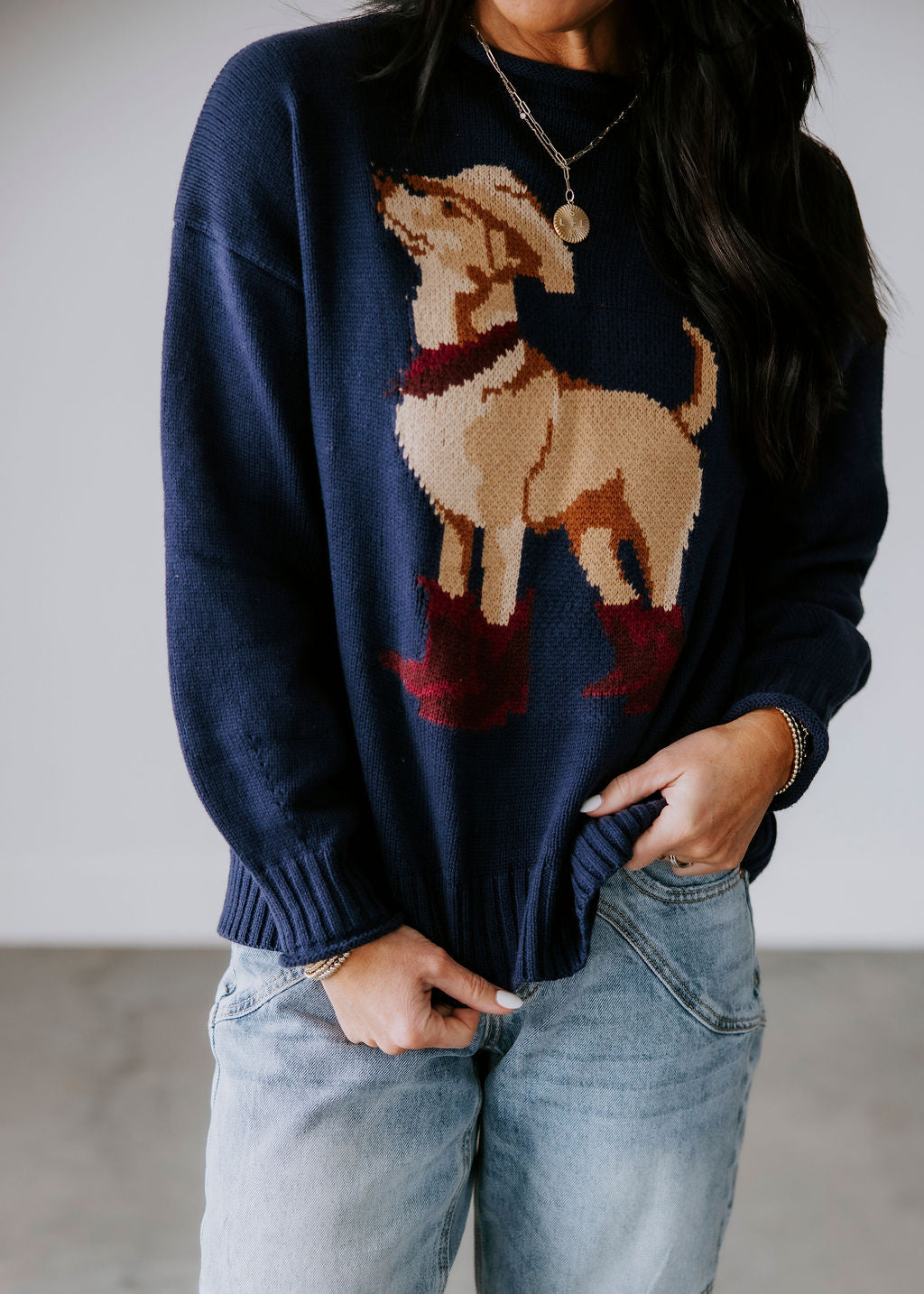 Tex Western Dog Sweater