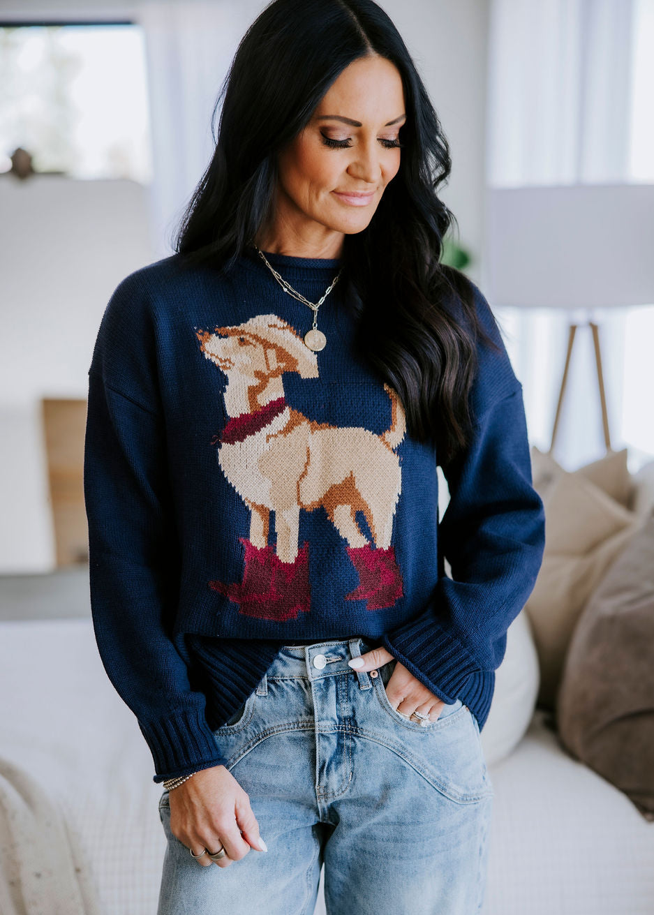 Tex Western Dog Sweater