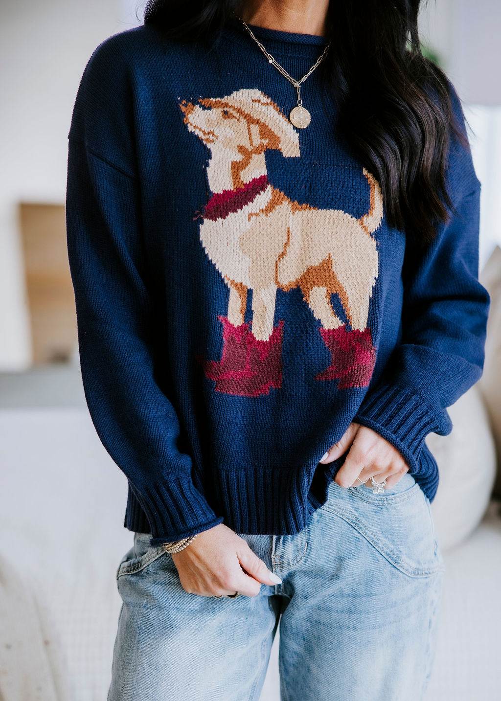 Tex Western Dog Sweater