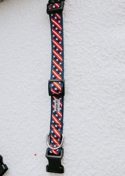 Stars and Stripes Dog Collar