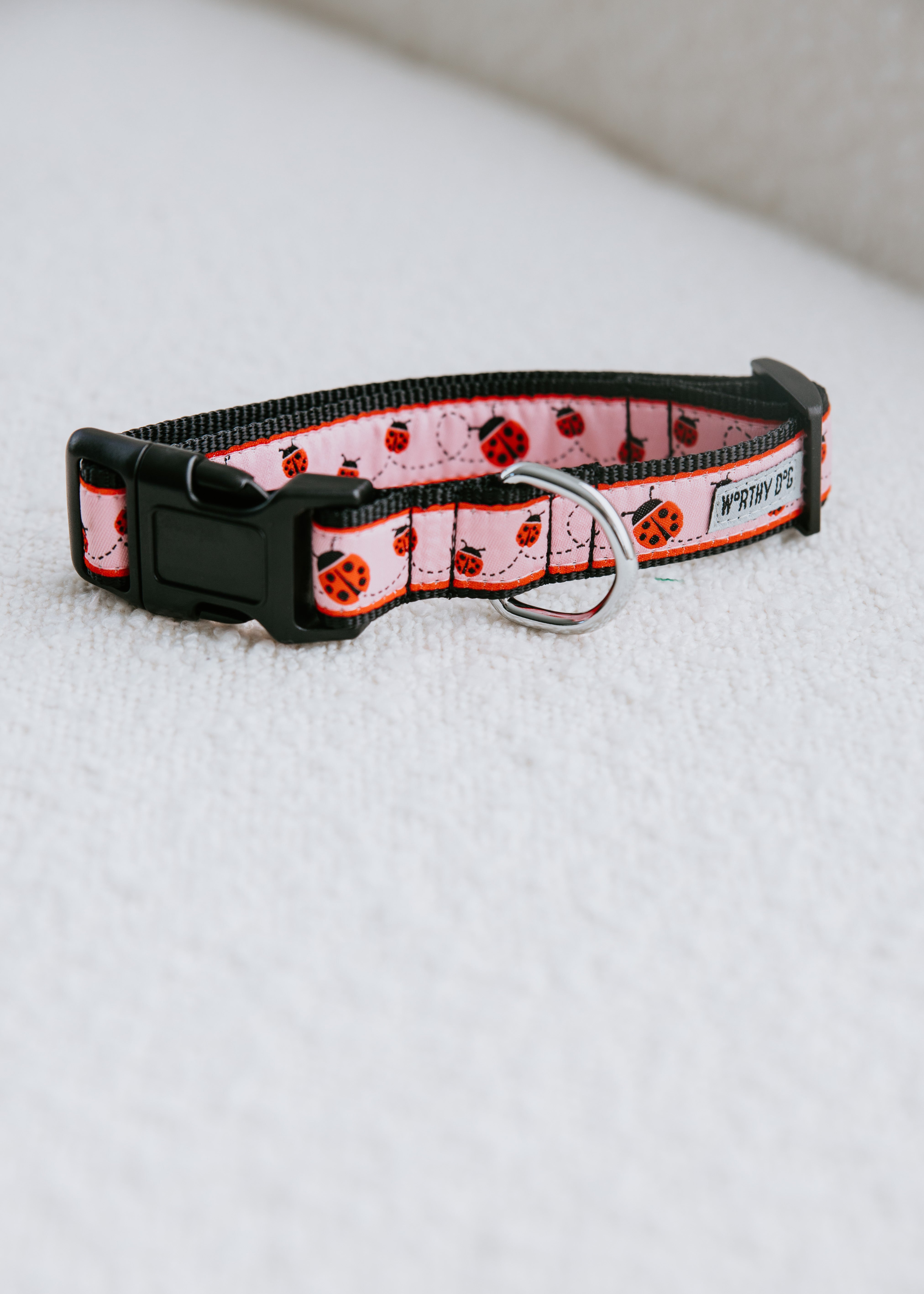 image of Ladybug Dog Collar