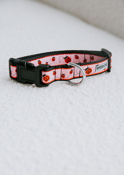 Ladybug Dog Collar