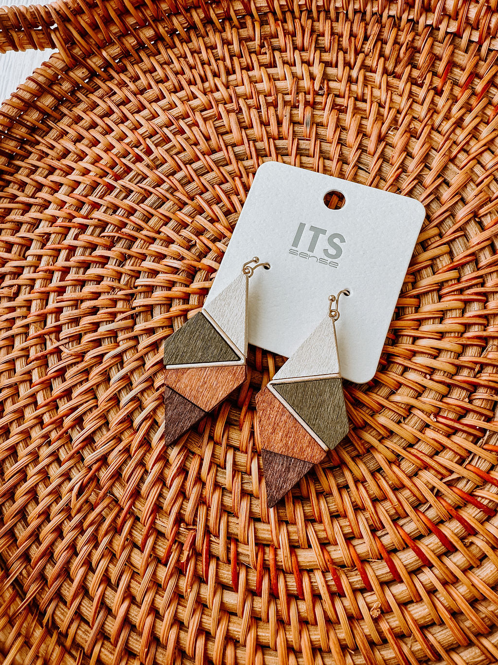 Nina Colorblock Dangle Earrings