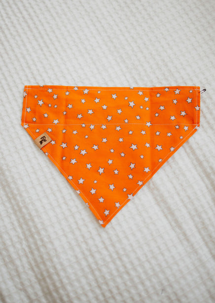 Fall Basics Reversible Dog Bandana