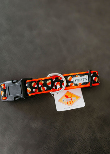 Candy Corn Dog Collar