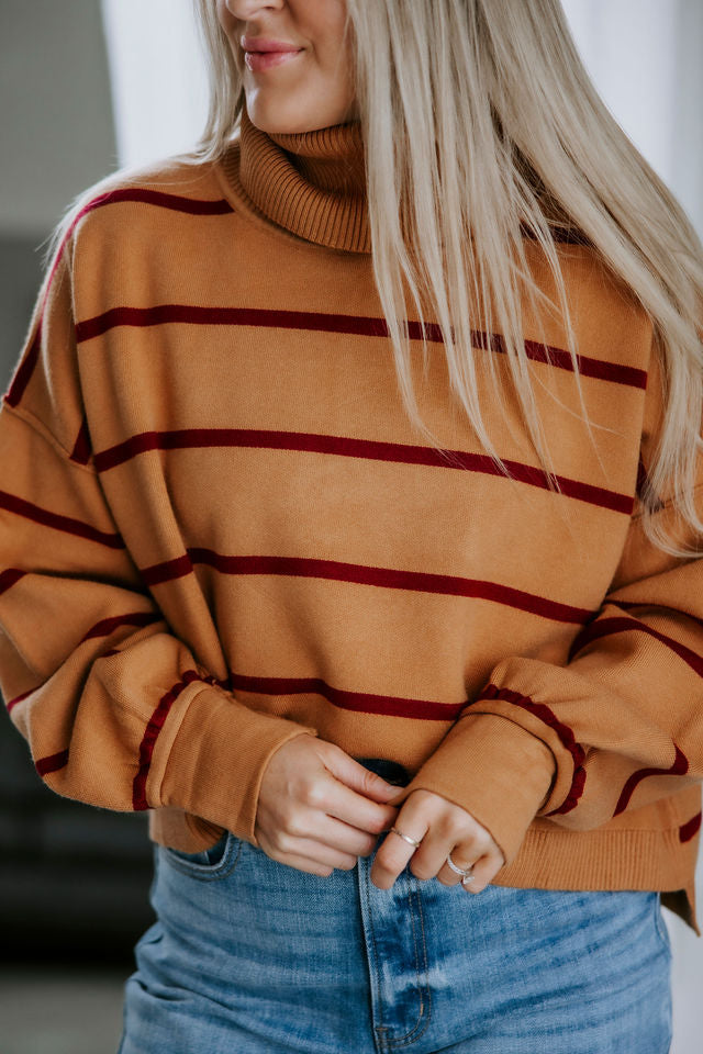 Alexandre Striped Turtleneck Sweater