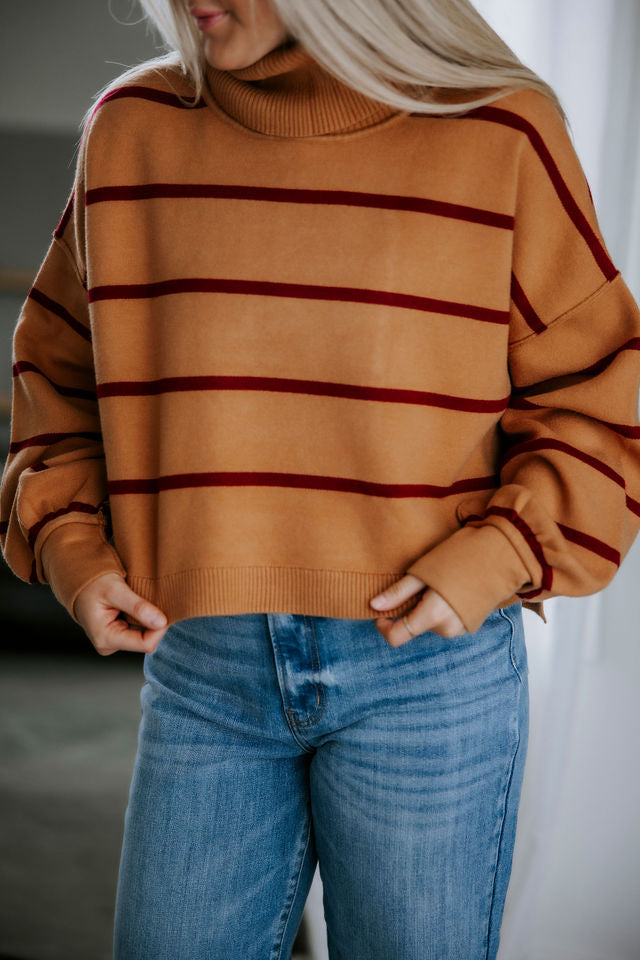 Alexandre Striped Turtleneck Sweater