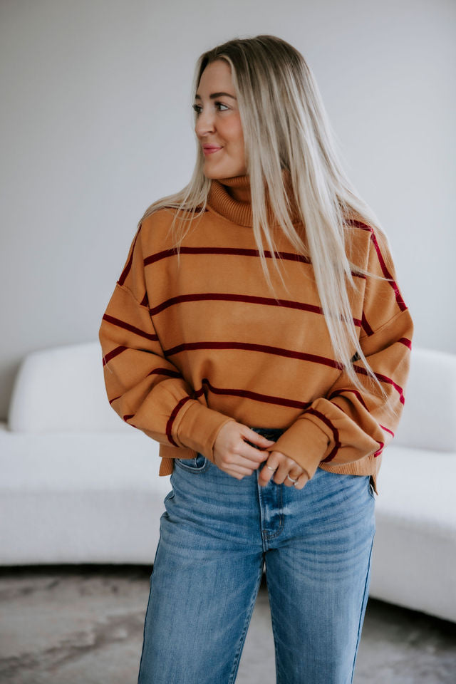 Alexandre Striped Turtleneck Sweater