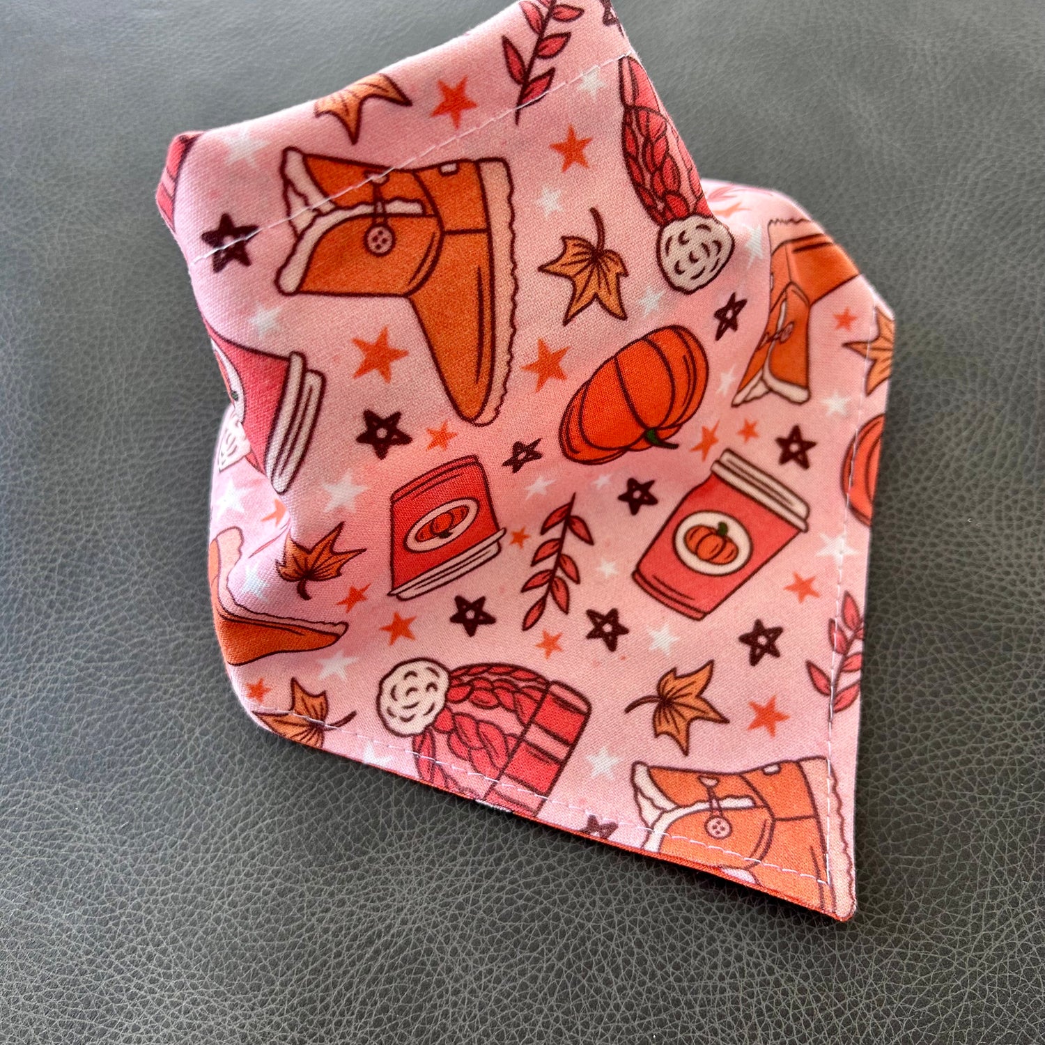 Fall Basics Reversible Dog Bandana