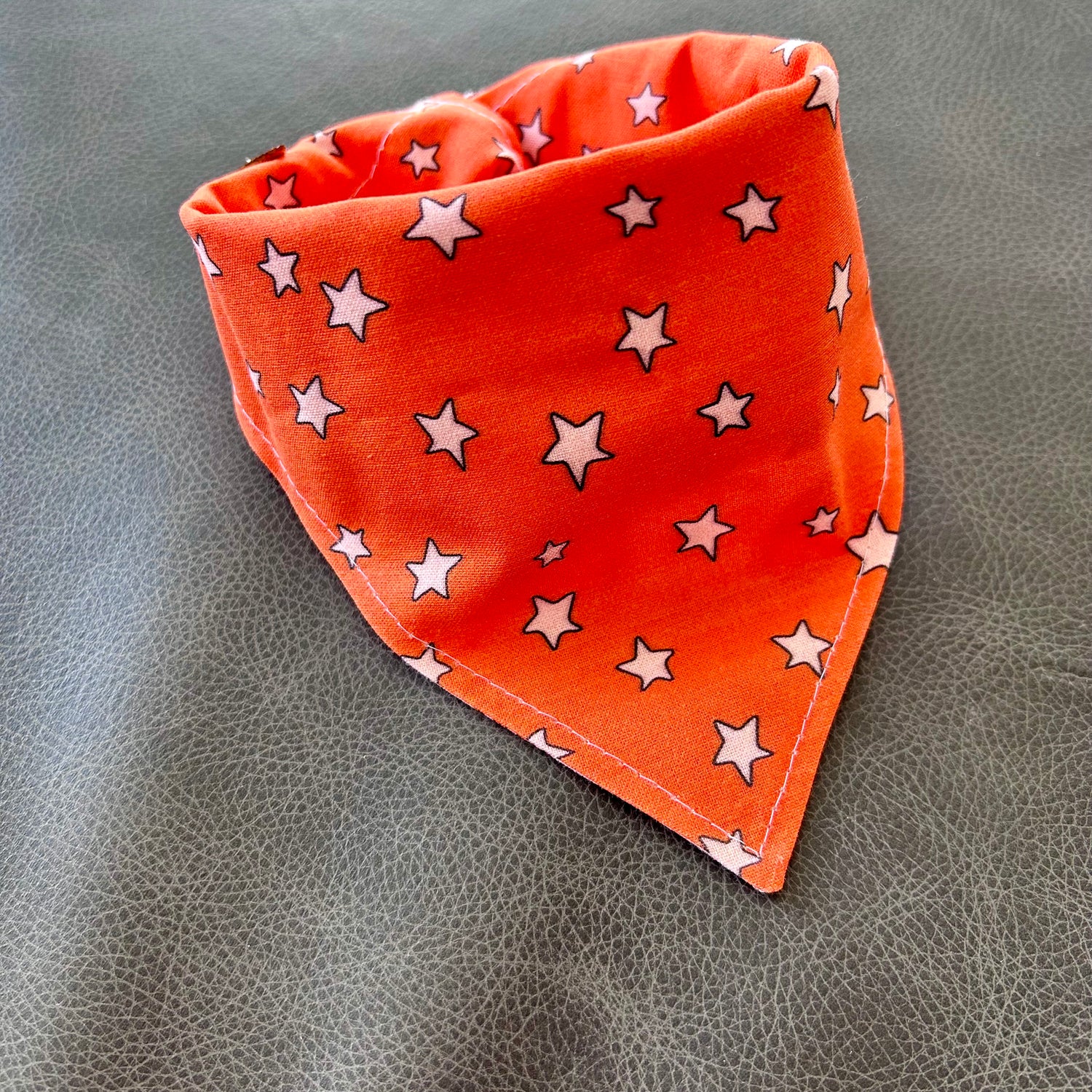 Fall Basics Reversible Dog Bandana