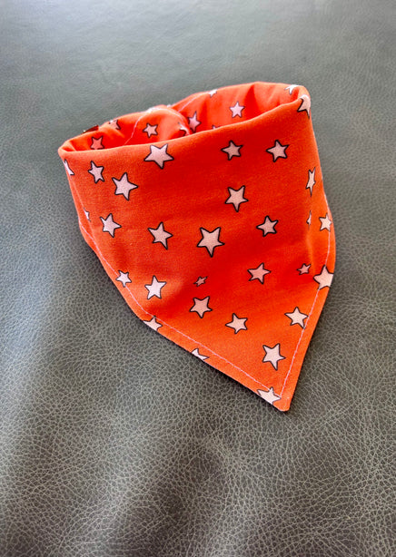 Fall Basics Reversible Dog Bandana