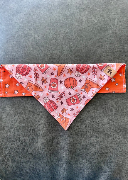 Fall Basics Reversible Dog Bandana