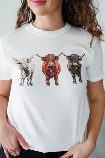 Highland Cattle Graphic Tee