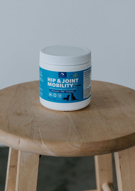 Hip and Joint Dog Supplements