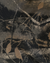 Coco Camo