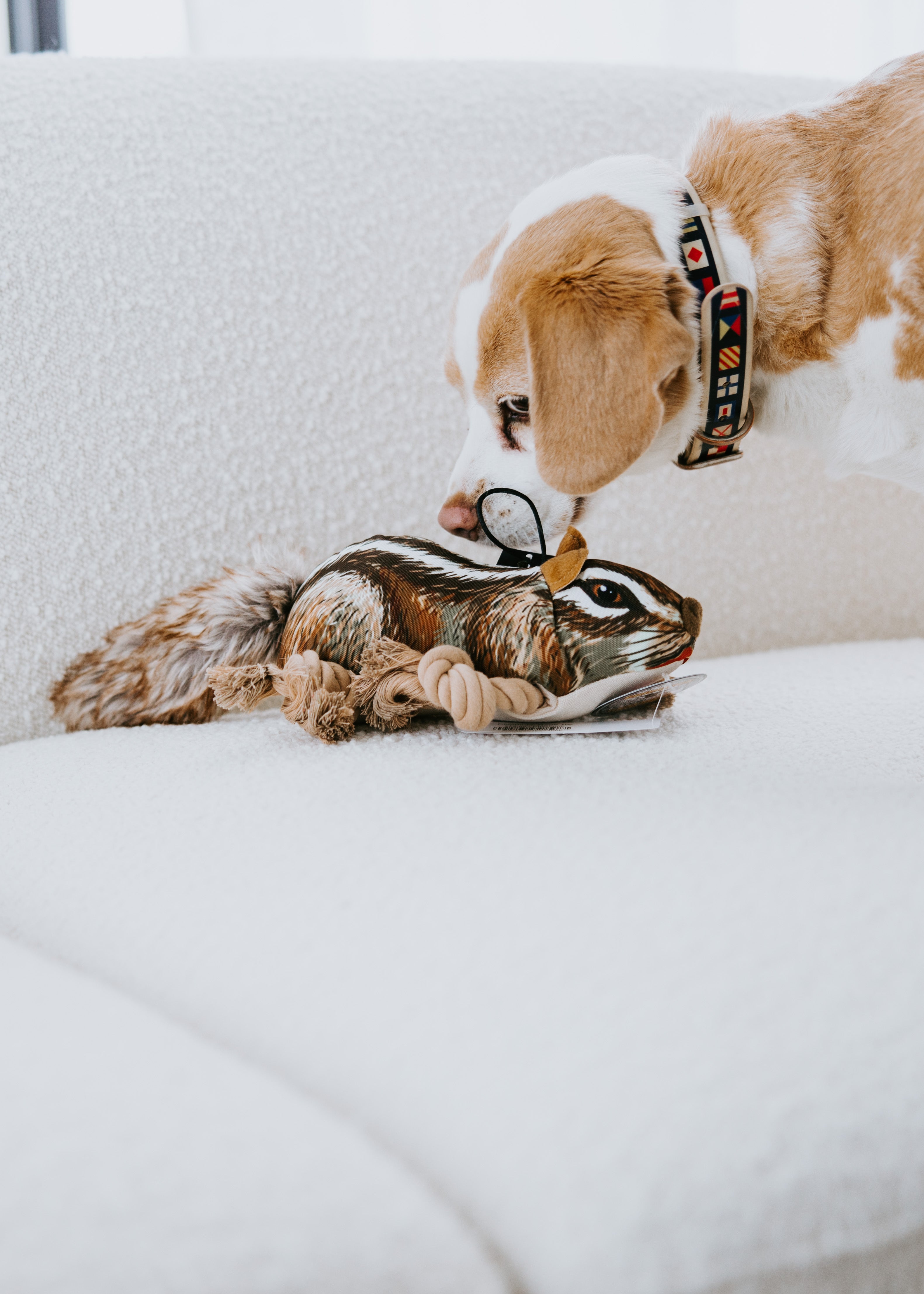 image of Chipmunk Rope Toy