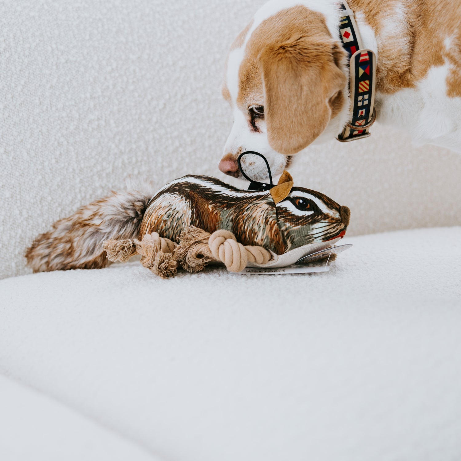 Chipmunk Rope Toy