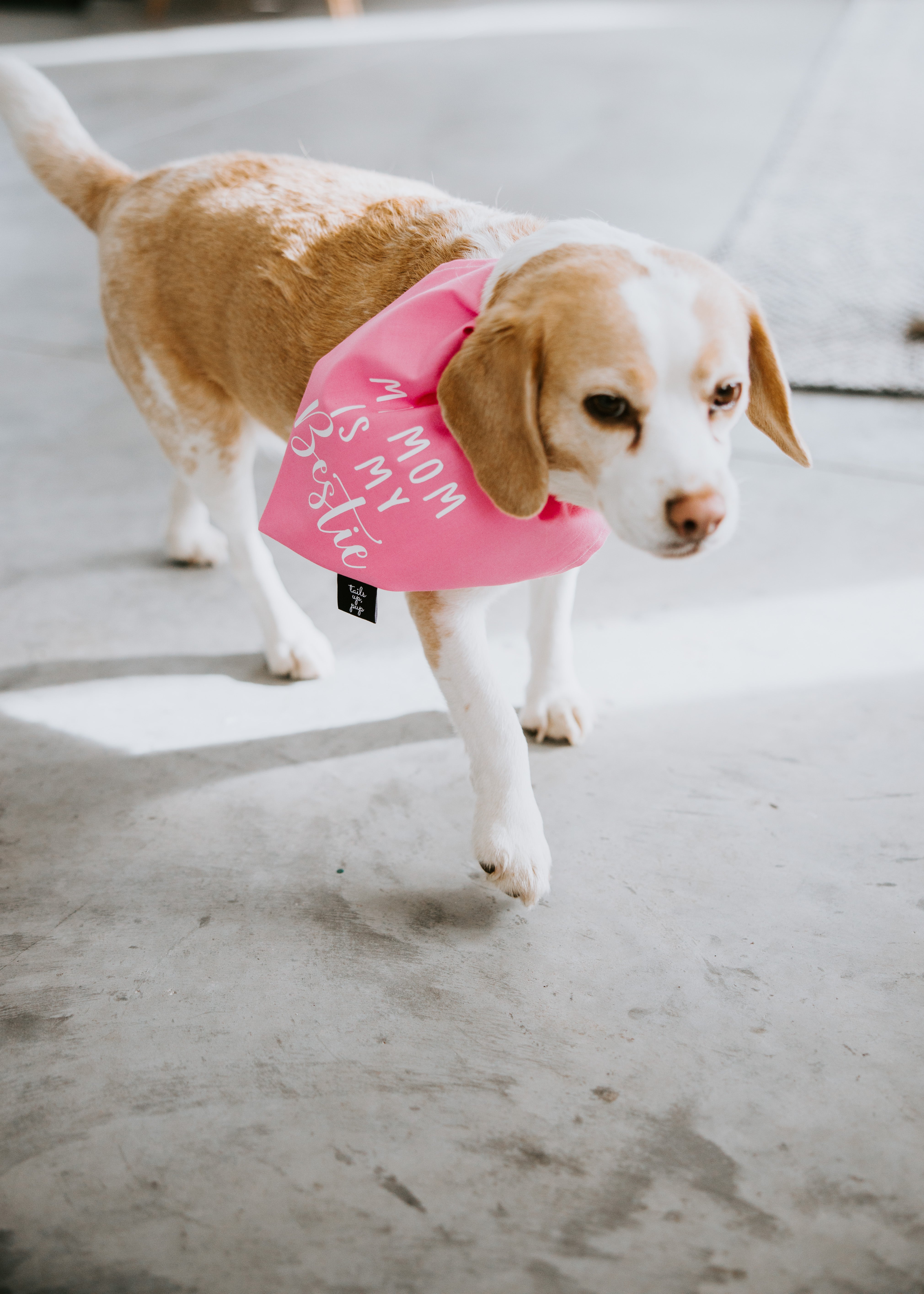 image of Mom is My Bestie Dog Bandana