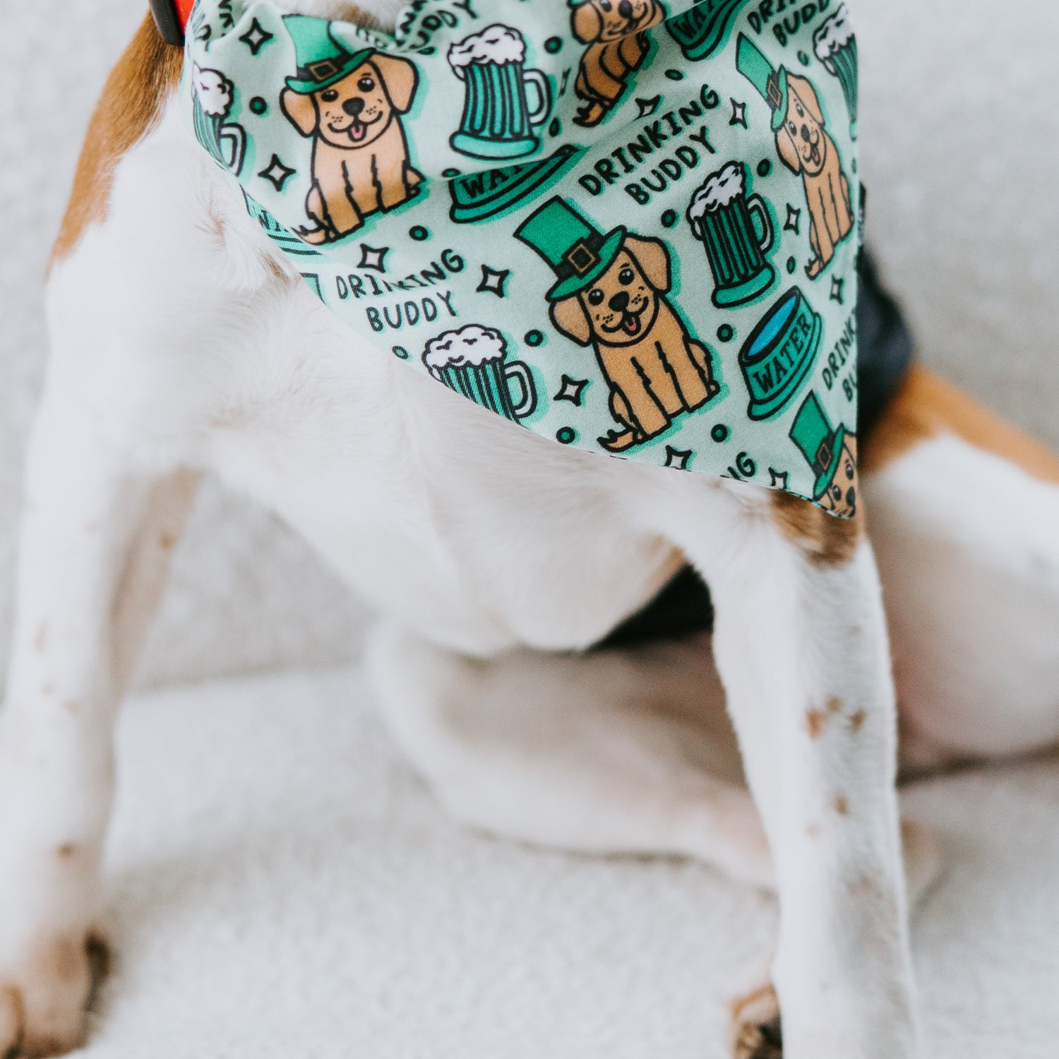 Drinking Buddy Dog Bandana