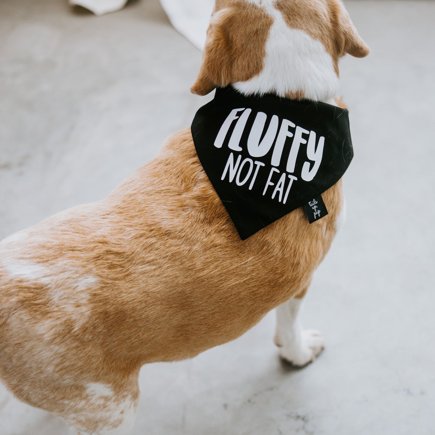 Fluffy Not Fat Dog Bandana