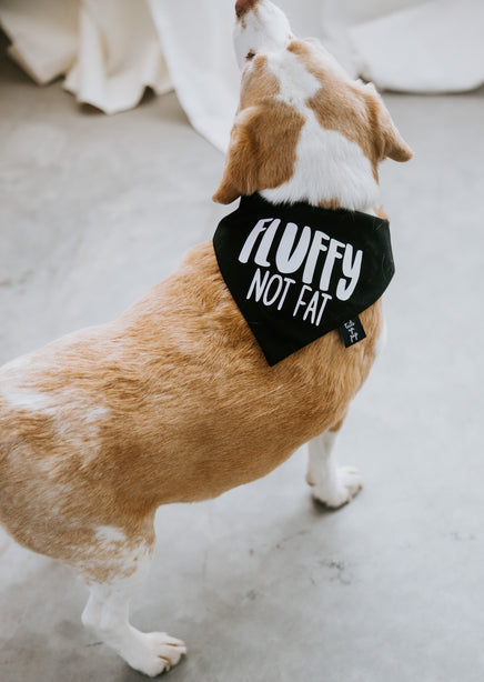 Fluffy Not Fat Dog Bandana