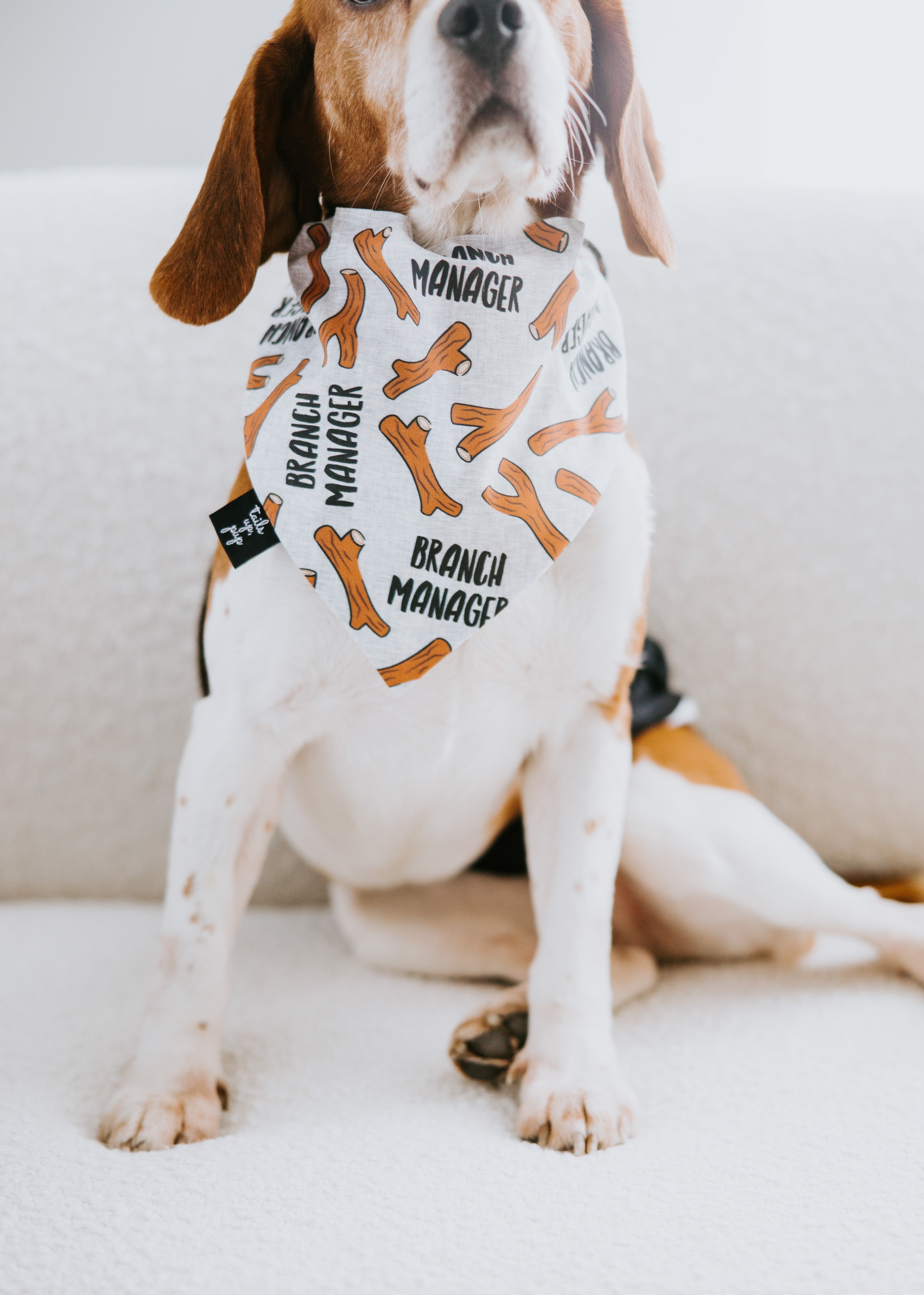 image of Branch Manager Dog Bandana