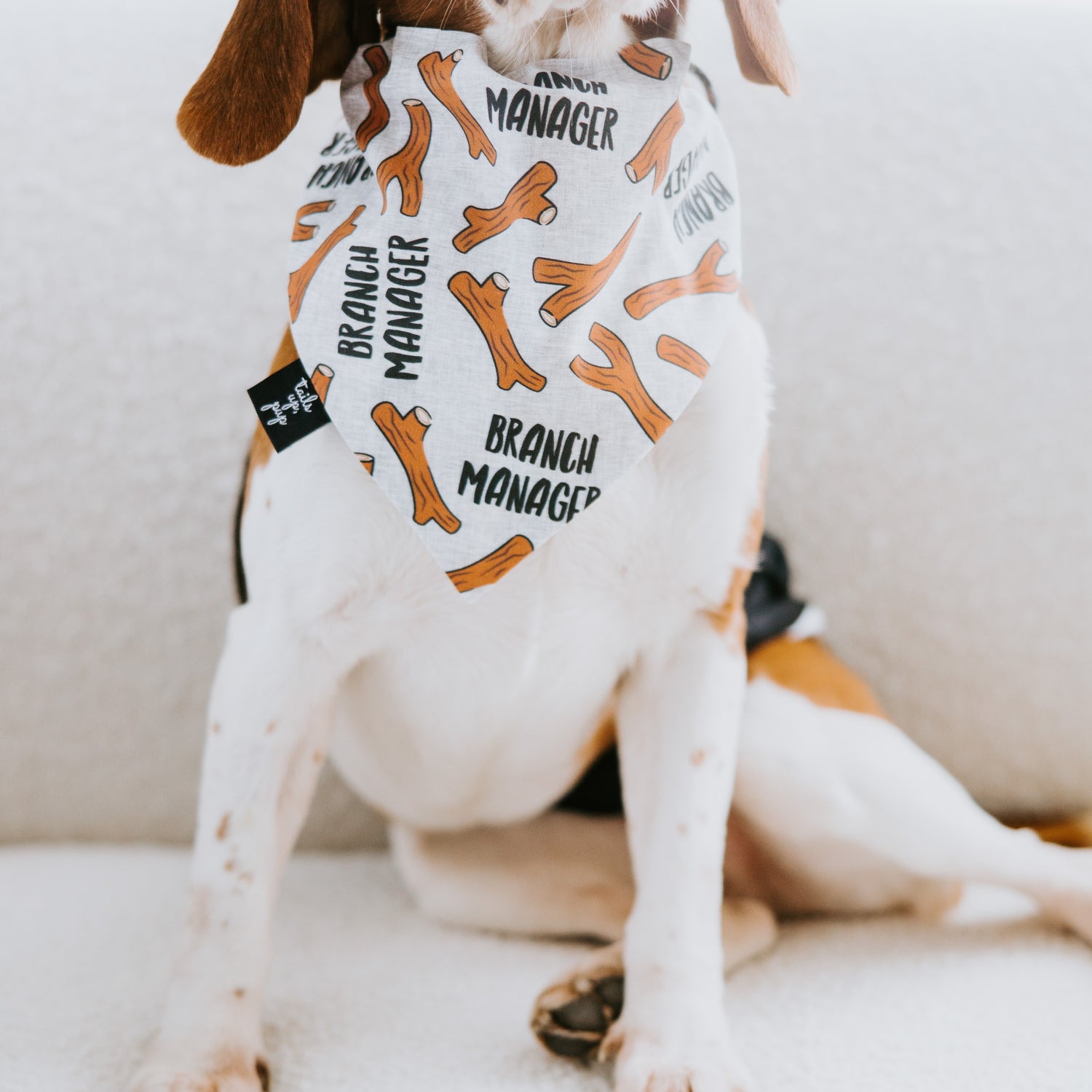 Branch Manager Dog Bandana