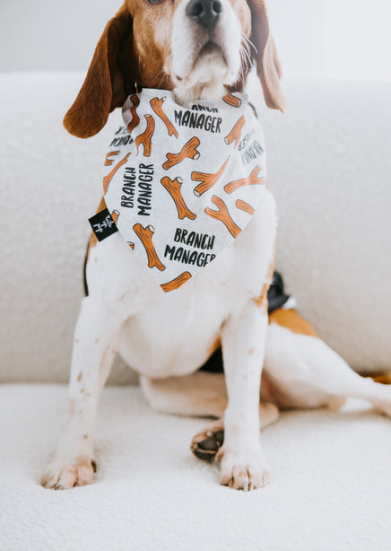 Branch Manager Dog Bandana