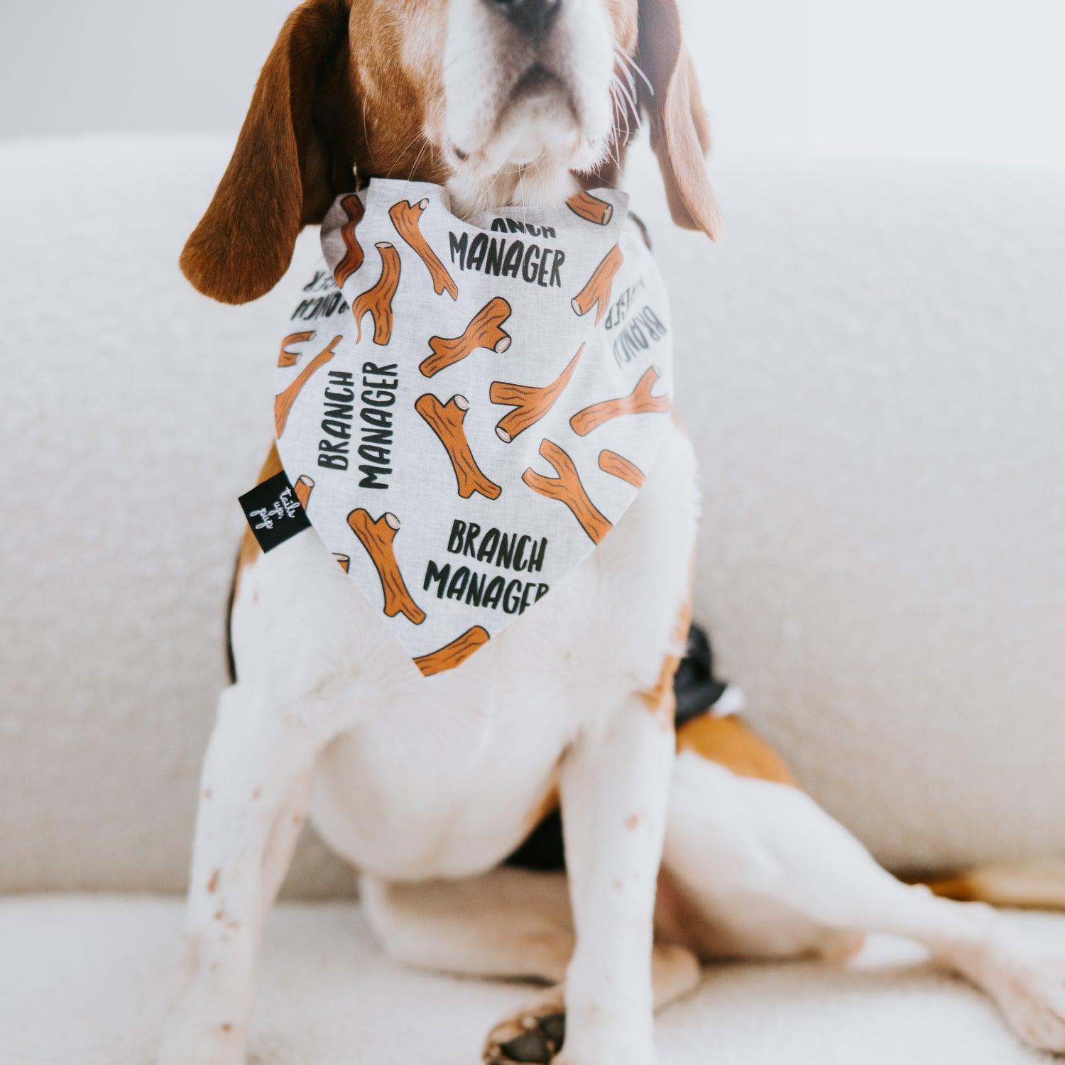 Branch Manager Dog Bandana