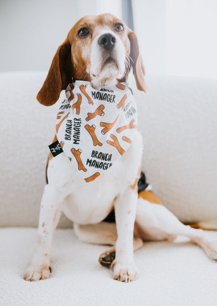 Branch Manager Dog Bandana