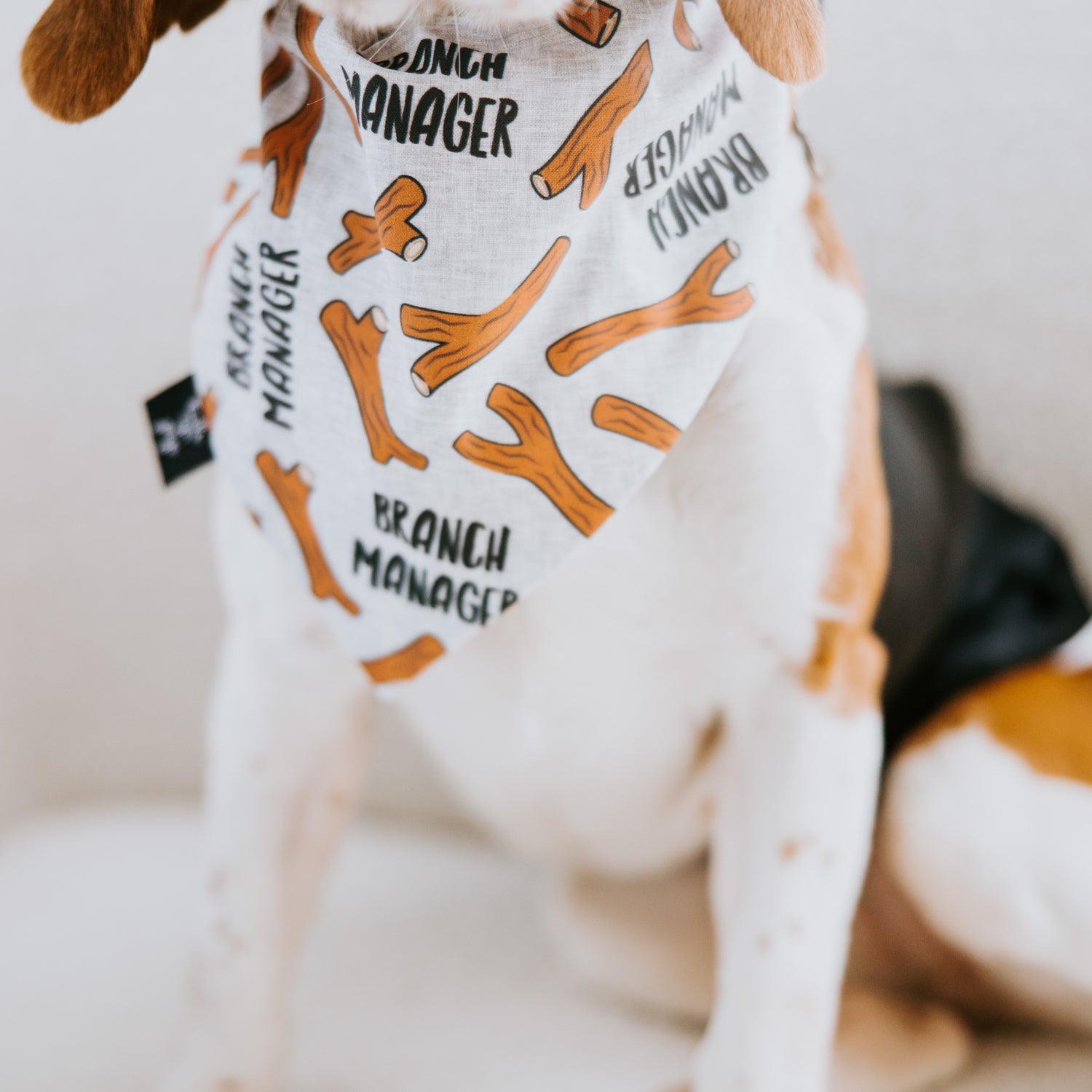 Branch Manager Dog Bandana