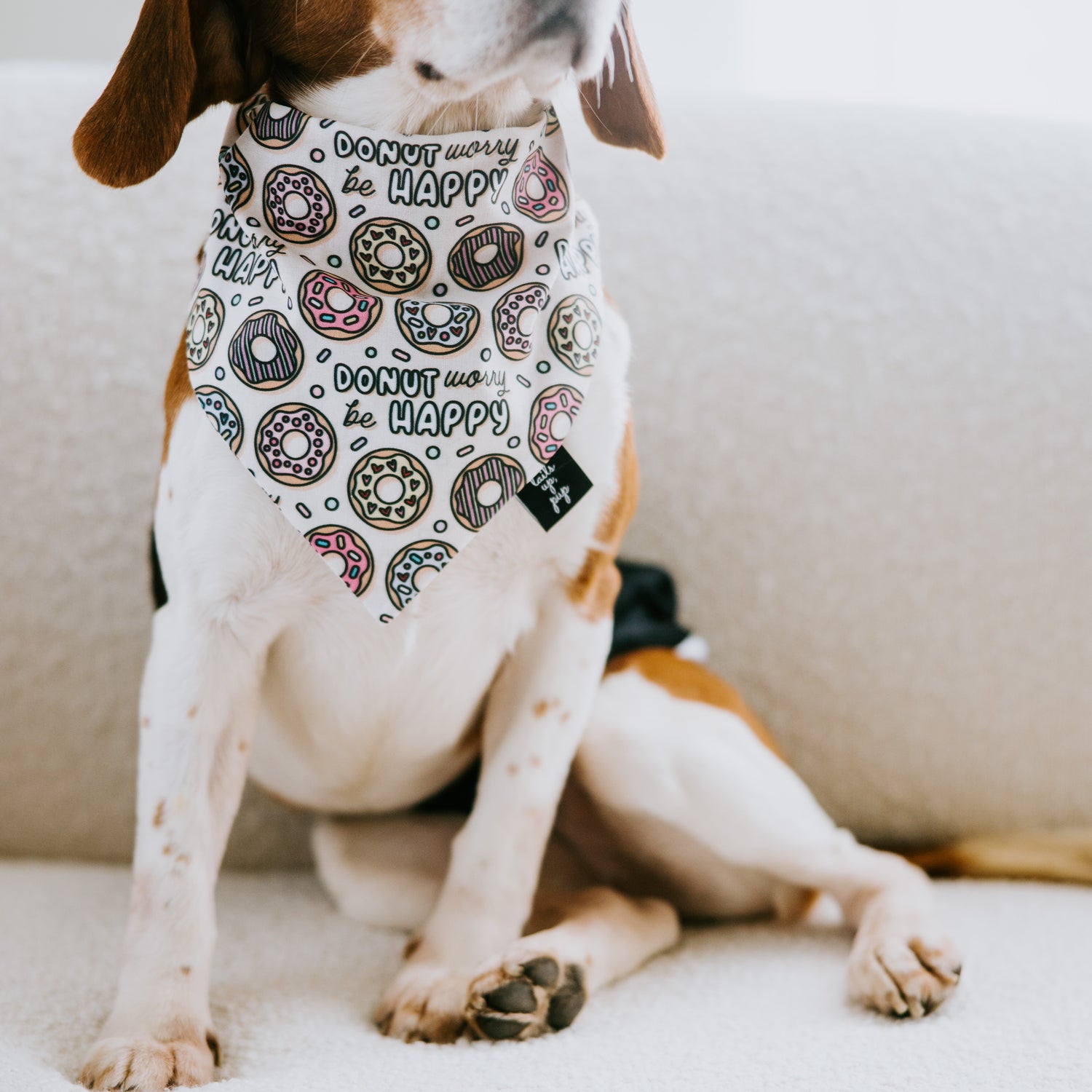 Donut Worry Dog Bandana