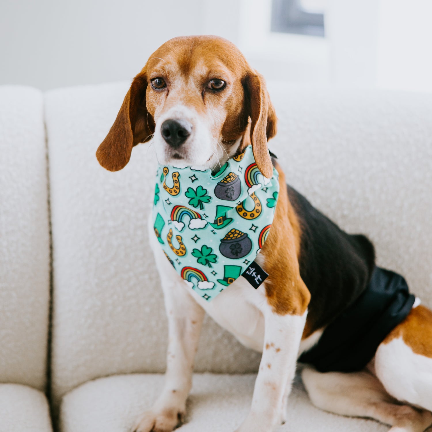 St. Patrick's Day Dog Bandana