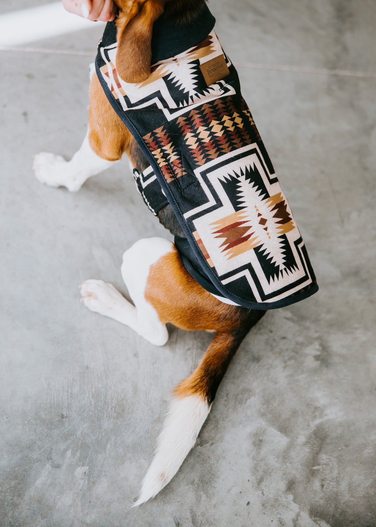 Pendleton Barn Style Dog Coat