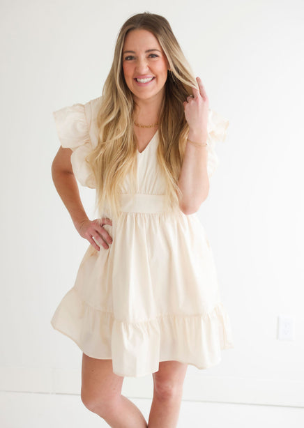 Diane Mini Dress product view