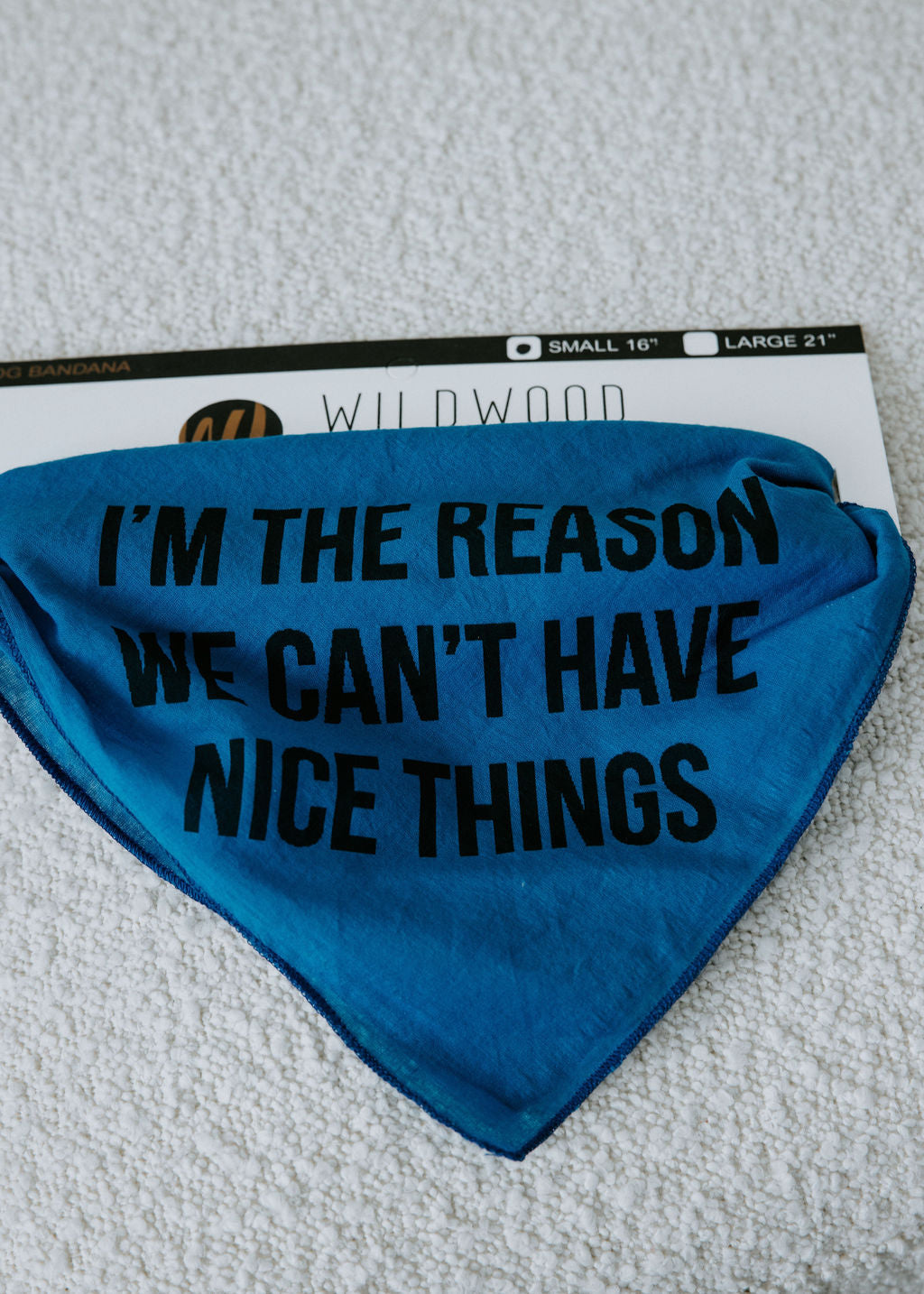 image of The Reason Dog Bandana