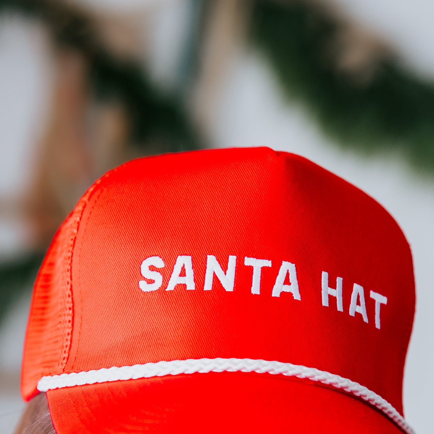 Santa Trucker Hat