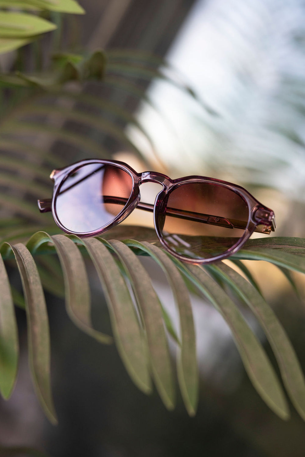 Round Frame Fashion Sunglasses