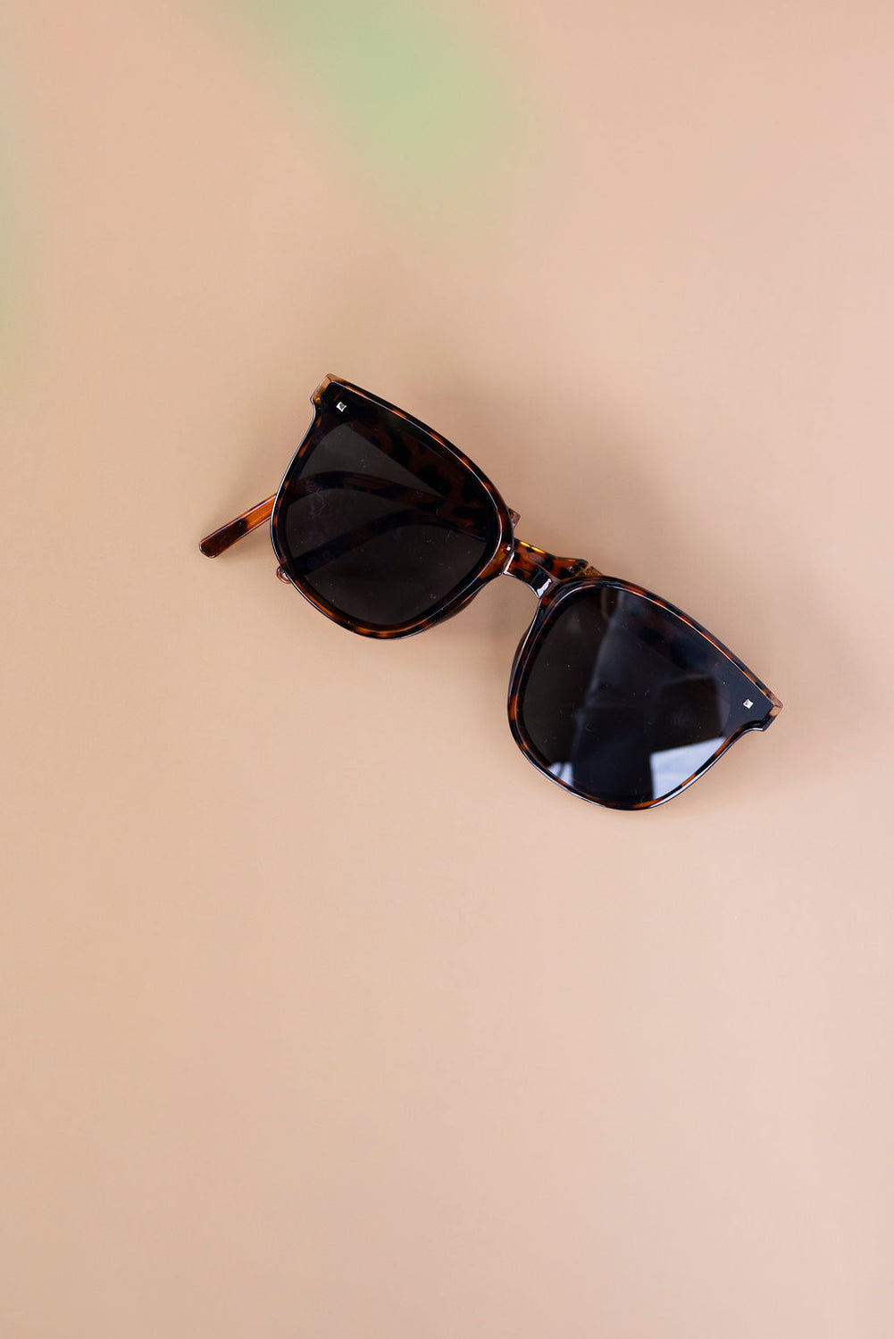 Dezi Oversized Retro Sunglasses